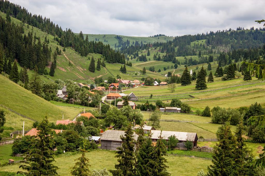 Picnic Panzio Bed & Breakfast Lunca de Sus Luaran gambar