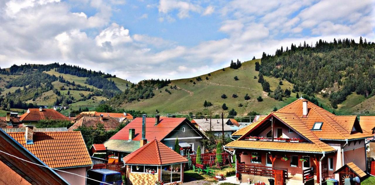 Picnic Panzio Bed & Breakfast Lunca de Sus Luaran gambar
