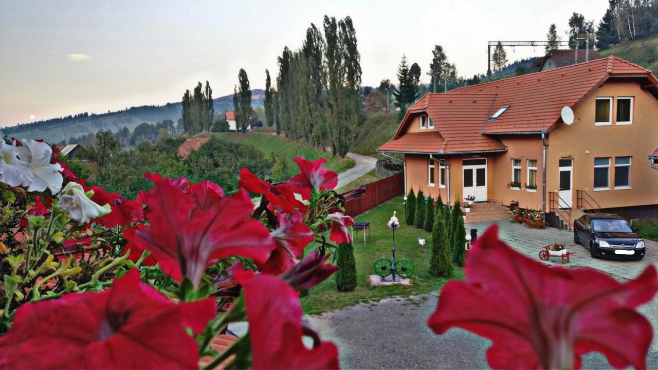 Picnic Panzio Bed & Breakfast Lunca de Sus Luaran gambar