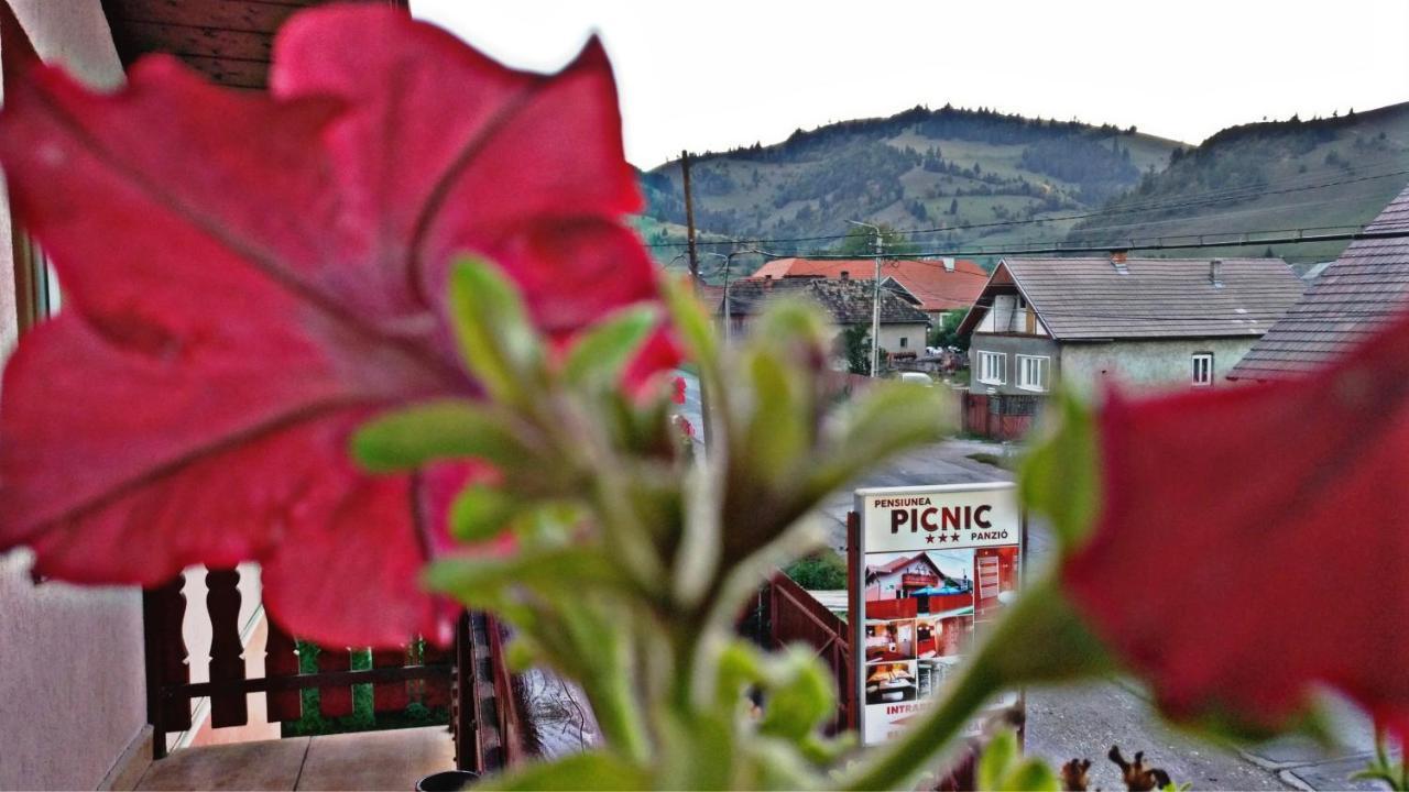 Picnic Panzio Bed & Breakfast Lunca de Sus Luaran gambar